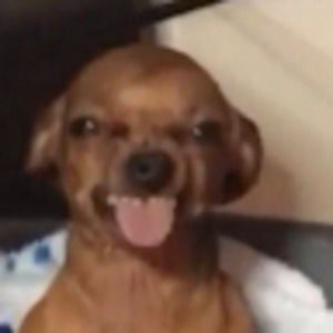 Meet your Posher, Eliza